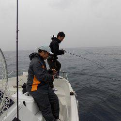 フィッシングボート空風(そらかぜ) 釣果