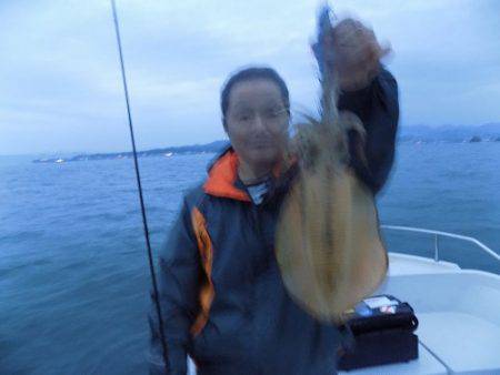 フィッシングボート空風(そらかぜ) 釣果