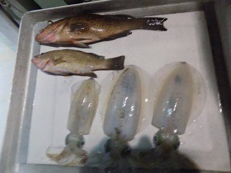 フィッシングボート空風（そらかぜ） 釣果