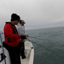 フィッシングボート空風（そらかぜ） 釣果