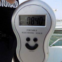 フィッシングボート空風(そらかぜ) 釣果