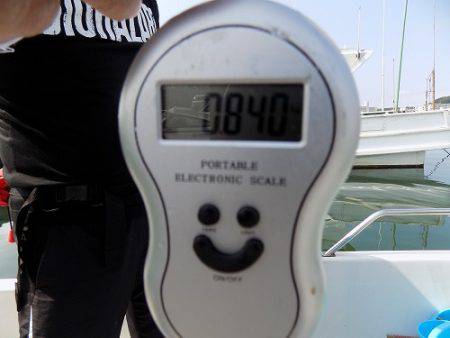 フィッシングボート空風(そらかぜ) 釣果