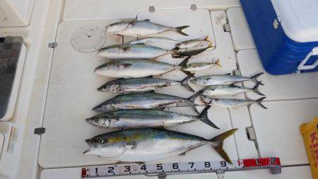 暁〜akatsuki〜 釣果