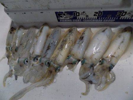 フィッシングボート空風（そらかぜ） 釣果