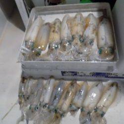 フィッシングボート空風（そらかぜ） 釣果