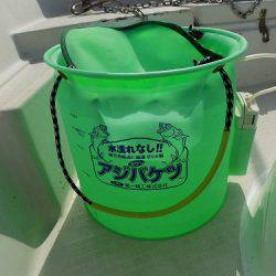 フィッシングボート空風(そらかぜ) 釣果