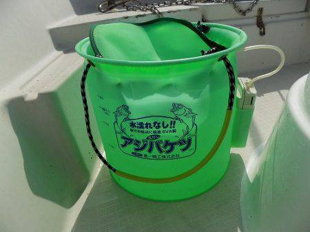 フィッシングボート空風(そらかぜ) 釣果