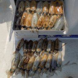 フィッシングボート空風(そらかぜ) 釣果