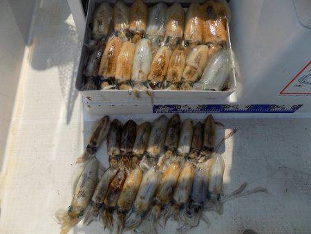 フィッシングボート空風(そらかぜ) 釣果