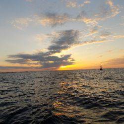 フィッシングボート空風(そらかぜ) 釣果