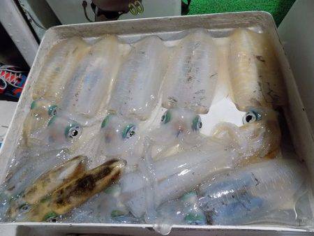 フィッシングボート空風（そらかぜ） 釣果