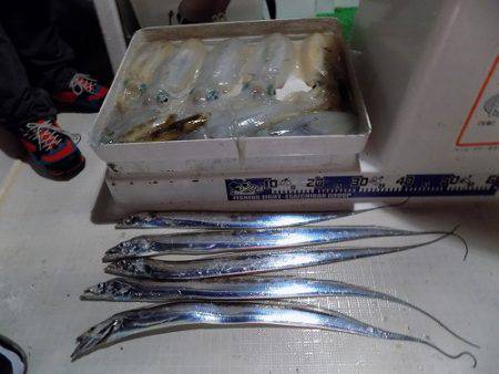 フィッシングボート空風(そらかぜ) 釣果