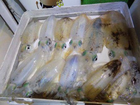 フィッシングボート空風(そらかぜ) 釣果