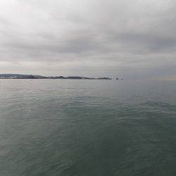 フィッシングボート空風（そらかぜ） 釣果