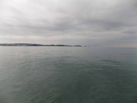 フィッシングボート空風（そらかぜ） 釣果