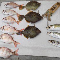 フィッシングボート空風（そらかぜ） 釣果