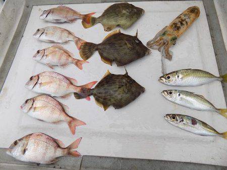 フィッシングボート空風（そらかぜ） 釣果