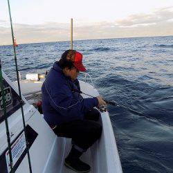 フィッシングボート空風（そらかぜ） 釣果