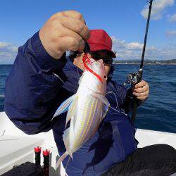 フィッシングボート空風（そらかぜ） 釣果
