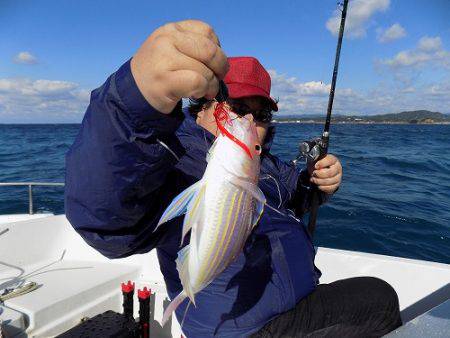 フィッシングボート空風（そらかぜ） 釣果