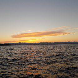 フィッシングボート空風(そらかぜ) 釣果