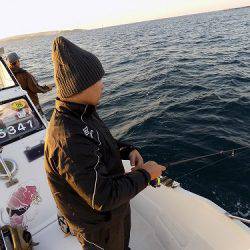 フィッシングボート空風(そらかぜ) 釣果