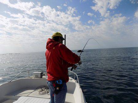 フィッシングボート空風(そらかぜ) 釣果