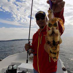 フィッシングボート空風(そらかぜ) 釣果