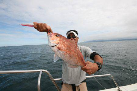 オーシャンズ　京都 釣果
