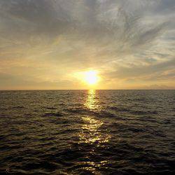 フィッシングボート空風(そらかぜ) 釣果