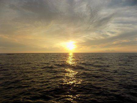 フィッシングボート空風(そらかぜ) 釣果