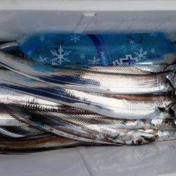 暁〜akatsuki〜 釣果