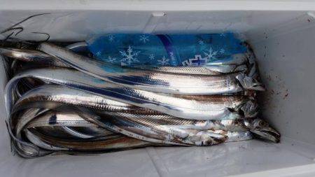 暁〜akatsuki〜 釣果