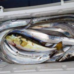 暁〜akatsuki〜 釣果