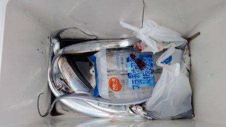 暁〜akatsuki〜 釣果