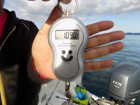 フィッシングボート空風(そらかぜ) 釣果