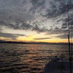 フィッシングボート空風(そらかぜ) 釣果