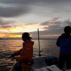 フィッシングボート空風（そらかぜ） 釣果