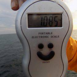 フィッシングボート空風（そらかぜ） 釣果