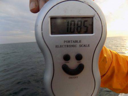 フィッシングボート空風（そらかぜ） 釣果