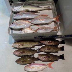 フィッシングボート空風（そらかぜ） 釣果