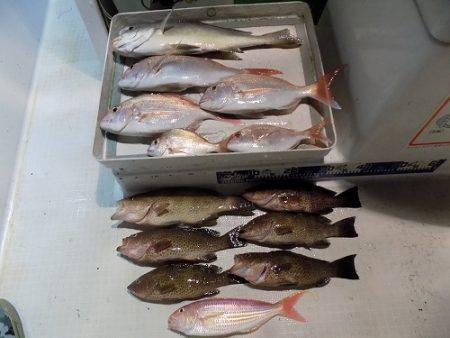 フィッシングボート空風（そらかぜ） 釣果