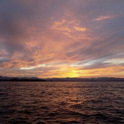 フィッシングボート空風(そらかぜ) 釣果