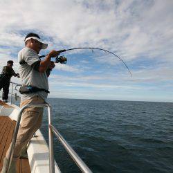 オーシャンズ　京都 釣果
