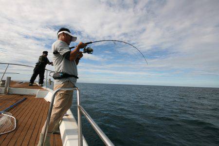 オーシャンズ　京都 釣果