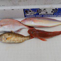 フィッシングボート空風(そらかぜ) 釣果