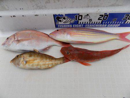 フィッシングボート空風(そらかぜ) 釣果