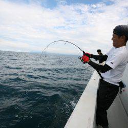 オーシャンズ　京都 釣果