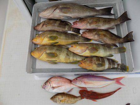 フィッシングボート空風(そらかぜ) 釣果