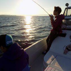 フィッシングボート空風(そらかぜ) 釣果